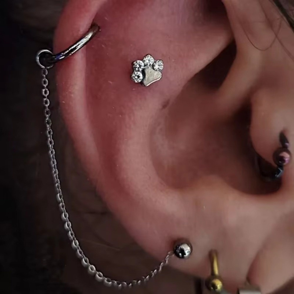 Corrente de Titânio para Nariz - Body Jewelry Nose avaliação e preço