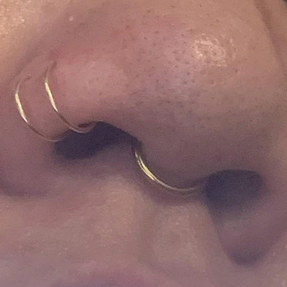 Anéis de nariz falsos, septo f - Body Jewelry Nose avaliação e preço
